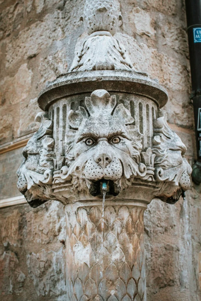 fotografi za svadbu fotograf vjencanja